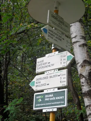 Gęstwina Granica PL/CZ