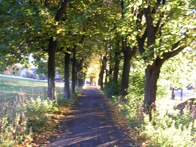 3A