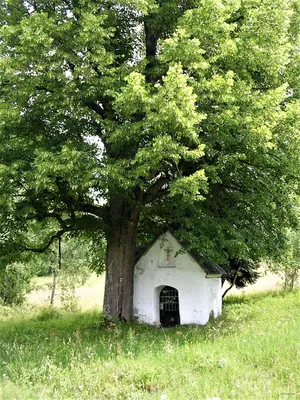 Priehyby