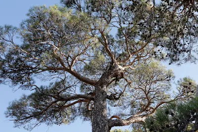 Prodromos Nature Trail 3 to 4