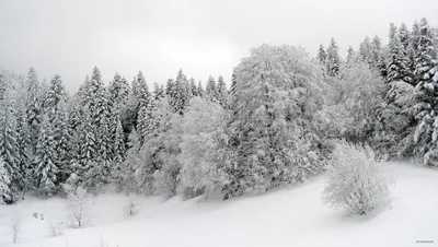 La Croix de Bournillon