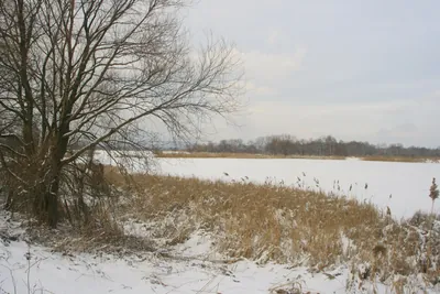 Pętla Przeręba