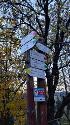 Żelazno - Przełęcz Puchaczówka