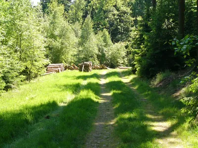 Świerkowa
