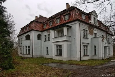 Łącznik kasztanowy