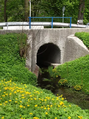 143 Jabkenice - Ráj