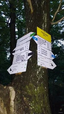Dom Wycieczkowy PTTK Harcówka - Ptasia Kopa