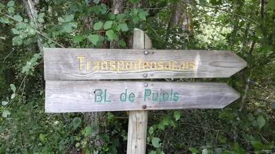 Pujols-sur-Ciron : boucle locale