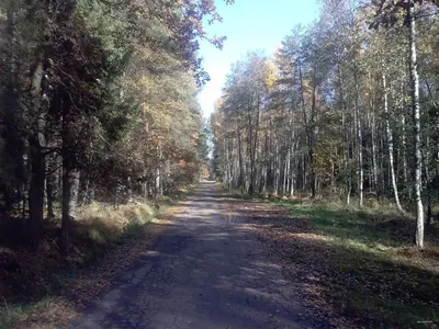 Ścieżka edukacyjna Wolność jest w naturze