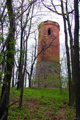 Szkoła