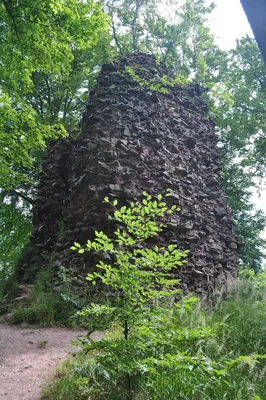 Rozdroże pod Krzywuchą - Zamek Radosno