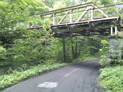 Trasa nr 41