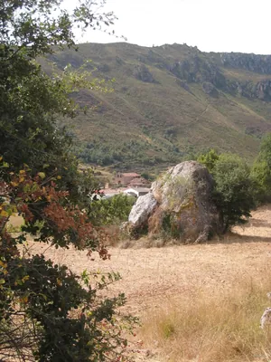 Ranera