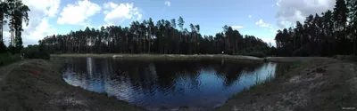 Ścieżka dydaktyczna w leśnictwie Bojary