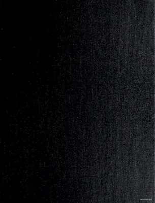 R2-DNG
