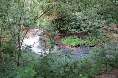 SingleTrack
