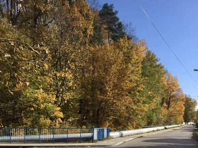 Szlak wyzwolenia Żywca