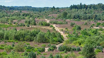 Zielony szlak pieszy