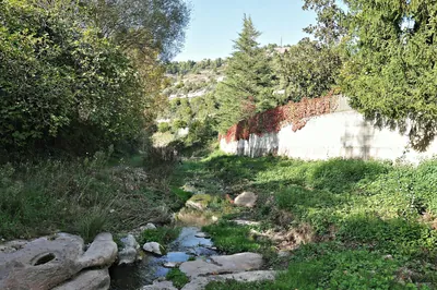 Balmes, masies i molins