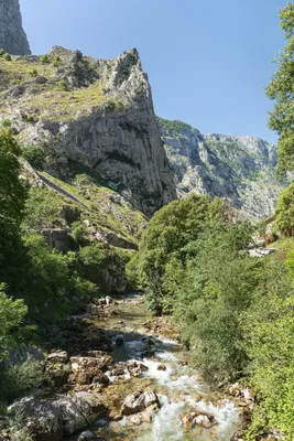 Canal de Camburero