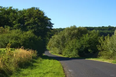 Promno - Gułtowy