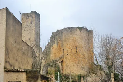 La Côte du Rhône