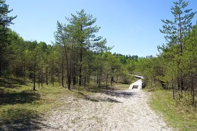Droga do Rezerwatu Gagaty Sołtykowskie