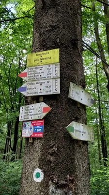 Rozdroże pod Moszną - Przełęcz Marcowa