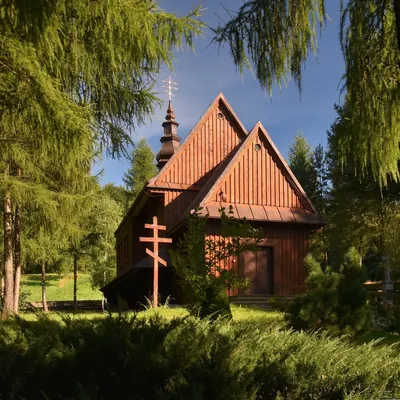 Ścieżka przyrodnicza Buczynowa