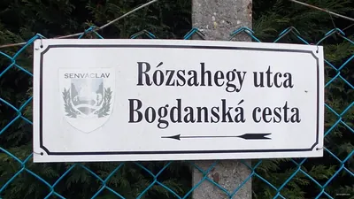 P+ (Pilisszentlászló, Honvéd utca – Tüskés-hegy – Akasztó-hegy, Varga-lósz – Kecskehát-rét – Dömös)