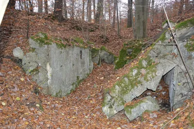 Szlak wokół Młynówki