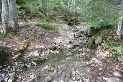 Les Chalets de la Fullie