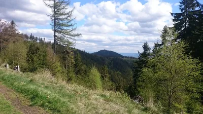 Suchawa – Rozdroże pod Waligórą