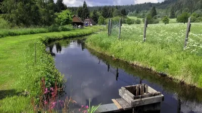 Líhně
