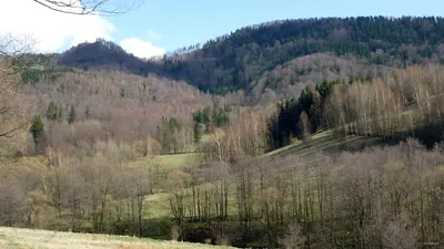 Skalna Brama – Rybnica Mała