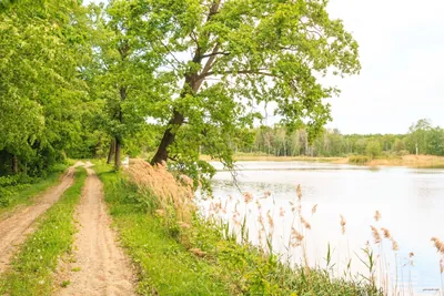 4235 Dašice - Albrechtice nad Orlicí