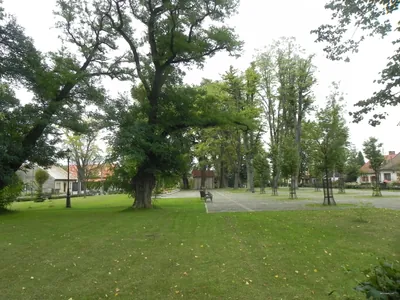 Alwernia - Zamek Tęczyn