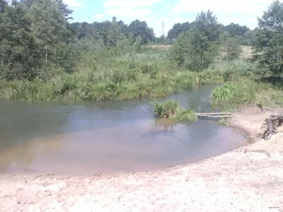 Ścieżka edukacyjna Lipy Dobieckie