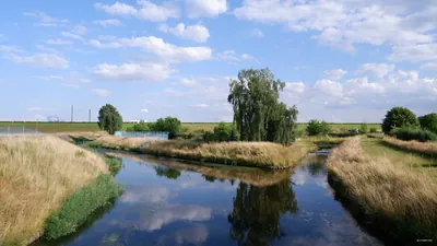Rybnik - Pilchowice