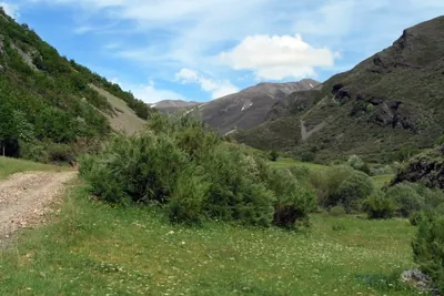 Valle del Naranco-Lechada