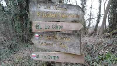 Le Carpe : boucle locale