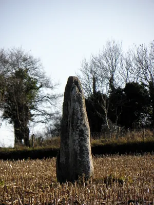 Roche Longue