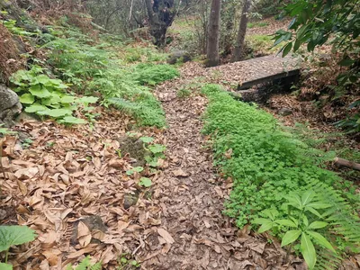 Camino de las Fuentes