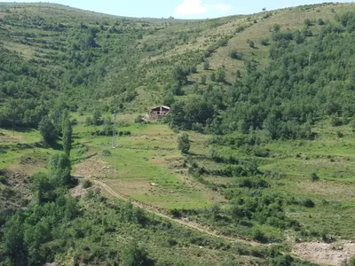 Borda de Mateu