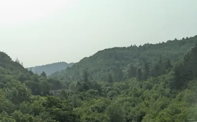 Le Plateau de Sault