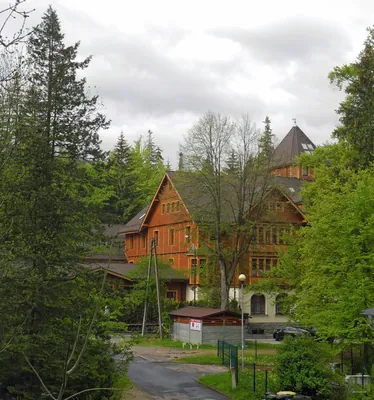 Artystyczna