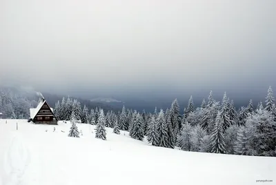 Czerwony szlak narciarski: Zwardoń - Rycerzowa