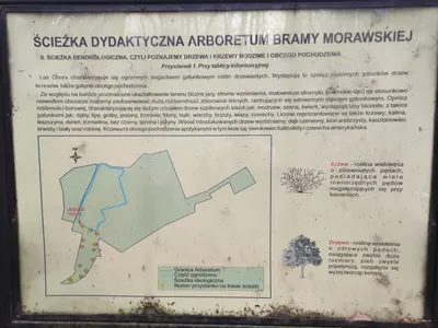 Ścieżka dydaktyczna Arboretum Bramy Morawskiej. I - ścieżka dendrologiczna