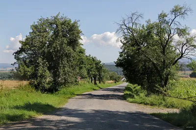 Semechnický okruh