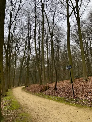 Sentier des Écureuils